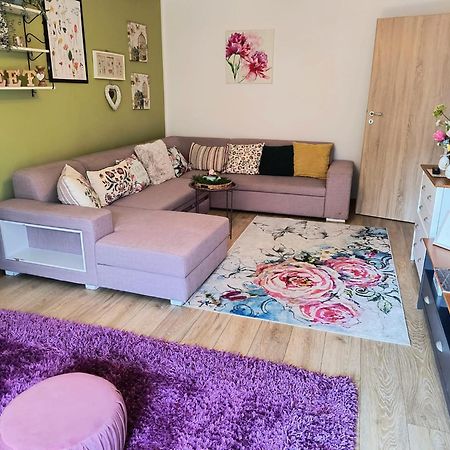 Sweet Garden Residence Braşov Esterno foto