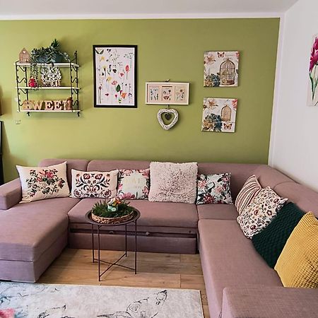 Sweet Garden Residence Braşov Esterno foto