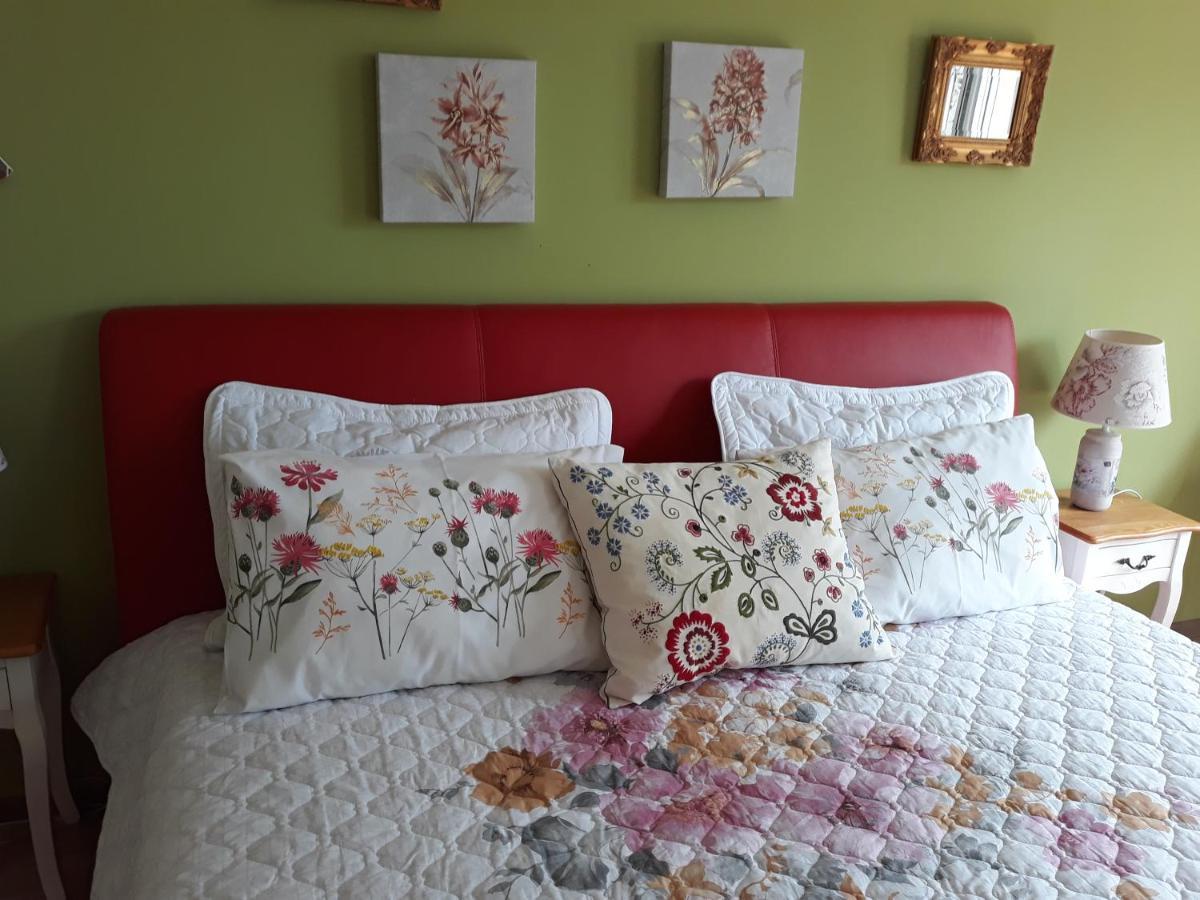Sweet Garden Residence Braşov Esterno foto