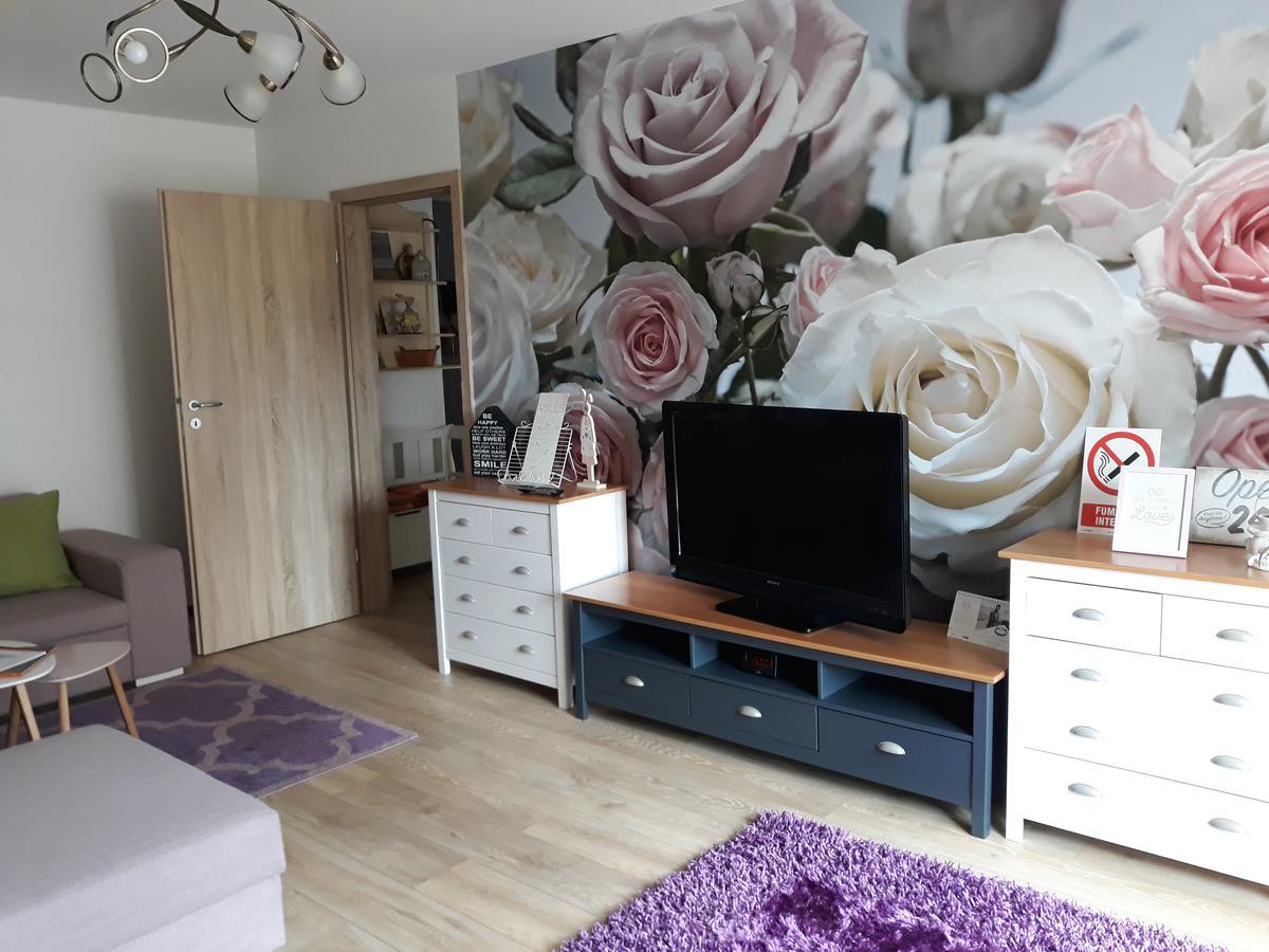 Sweet Garden Residence Braşov Esterno foto